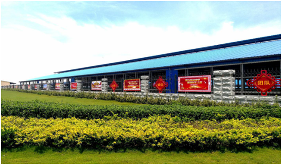 “ 看听谈查 ”板 找短板  党建放哨促提升——QMH官网集团党委发展基层党建工作放哨