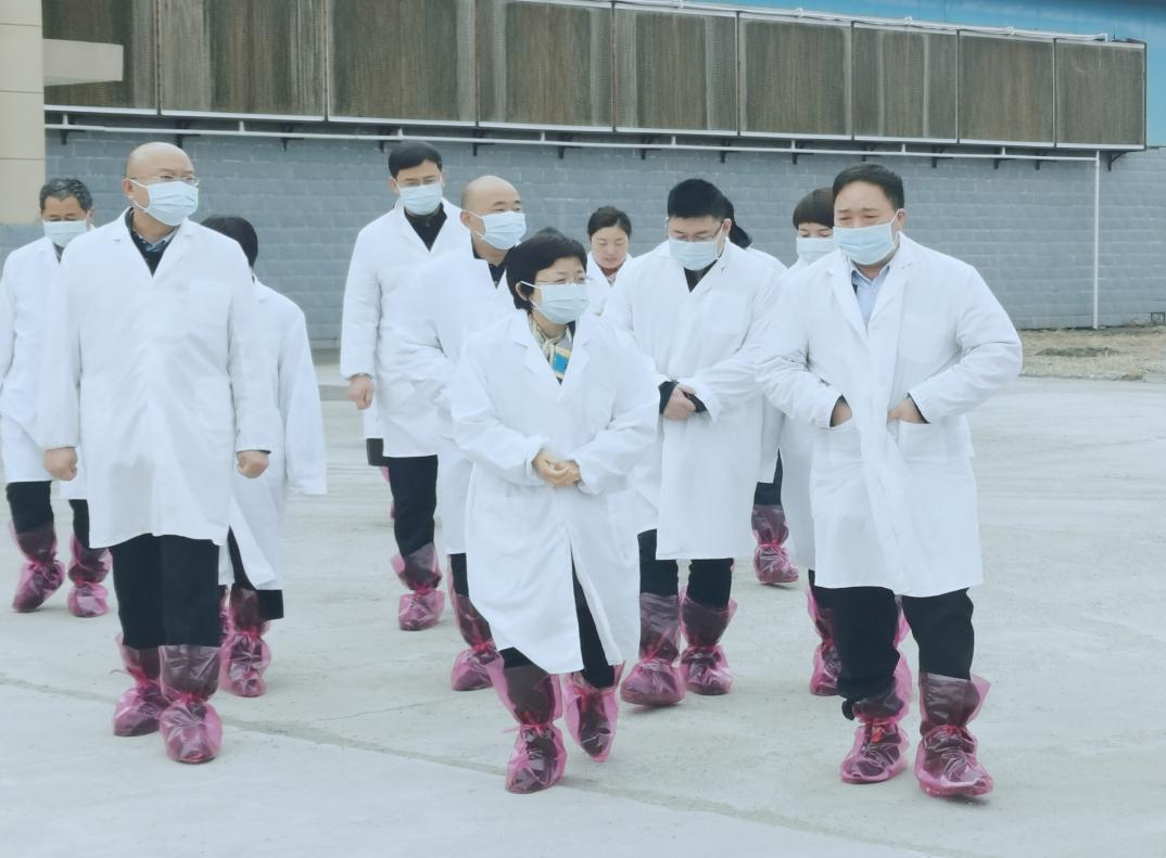 河南省郑州市人民当局副市长李凤芝一行光临QMH官网河南瑞亚参观调研 河南省郑州市人民当局副市长李凤芝一行光临QMH官网河南瑞亚参观调研