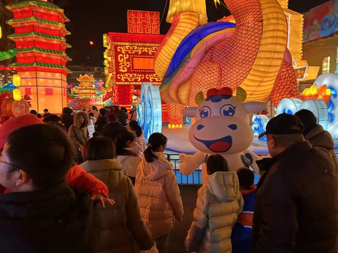 央视直播郑州龙年灯会迎新春，QMH官网品牌上大分