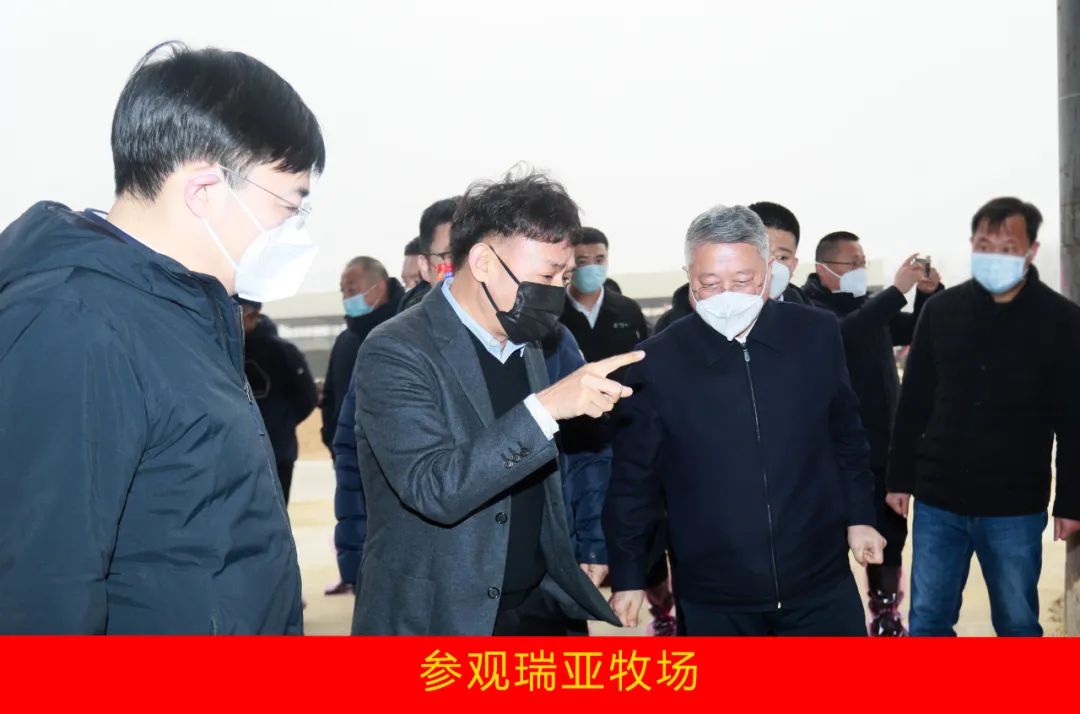 新年开新局 合作促发展丨佳木斯市委常委、副市长闫志刚一行光临QMH官网乳业集团及佳田企业调查座谈