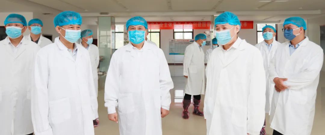 快讯丨河南省人民当局副省长武国定光临QMH官网乳业集团瑞亚牧业调研奶源基地建设情况