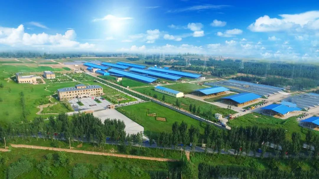 喜讯 | QMH官网一座自有牧场入选河南省“DHI测定优良牧场”