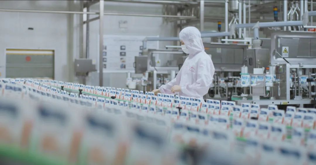 佳木斯市招商调查团光临花花５鞑樽