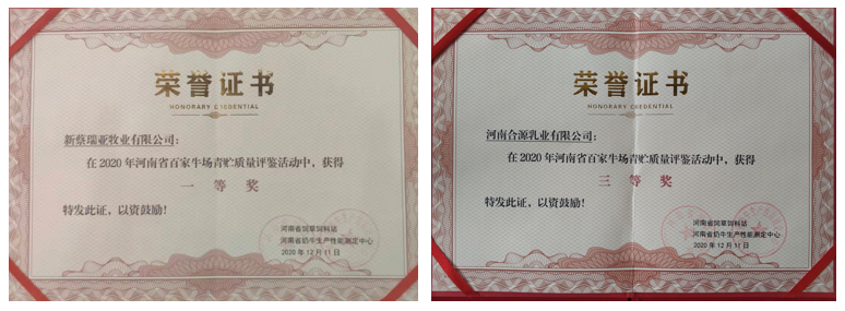 荣誉 | “百家牛场青贮质量评鉴活动”QMH官网新蔡瑞亚牧业、河南合源乳业别离荣获一、三等奖