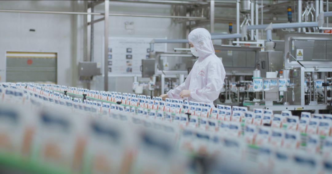 快讯 | 河南省人民敌灾食品安全委员会办公住宅三批食品安全示范区验收组辅导光临QMH官网乳业集团验收食品安全示范区建设情况