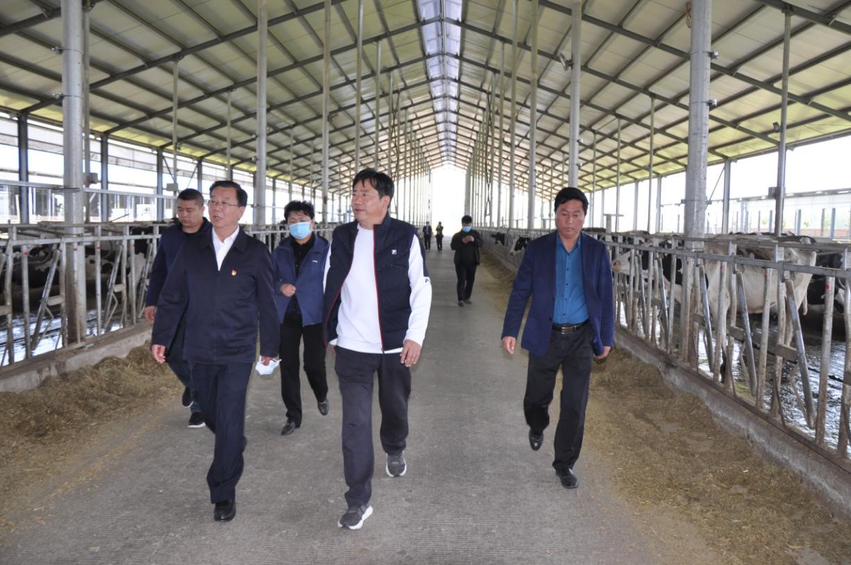 商丘市委常委、宣传部部长王全周一行光临睢县瑞亚牧业有限公司调研