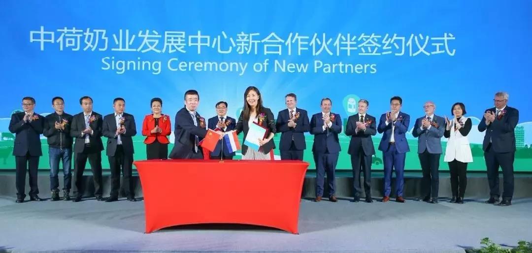 SDDDC走进河南，看看QMH官网的国际范儿！