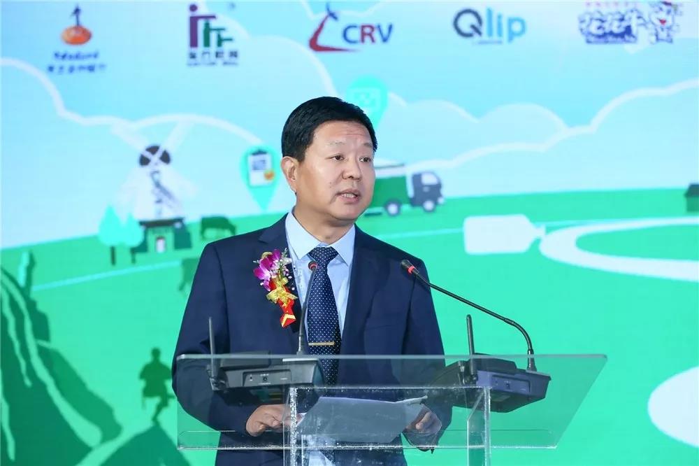 SDDDC走进河南，看看QMH官网的国际范儿！