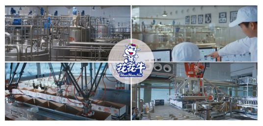 荣获全国“质量月”五项大奖，QMH官网真牛！