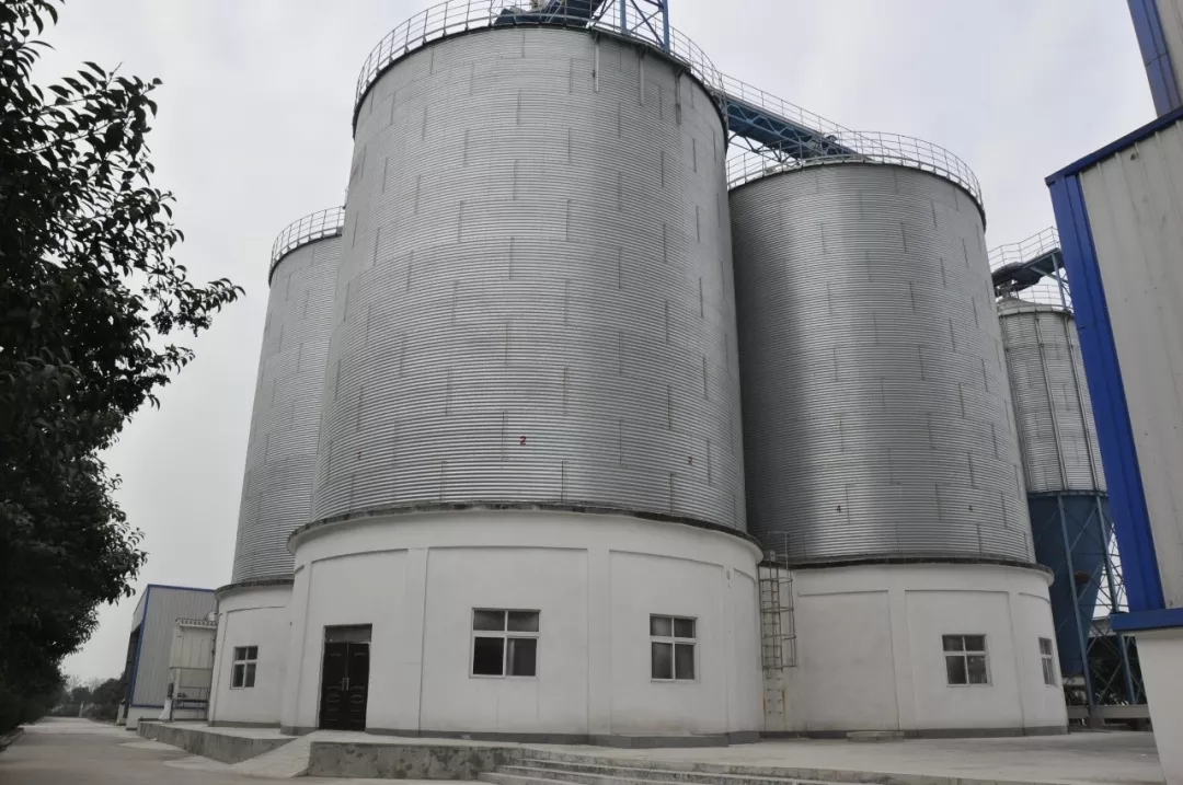 第31届中原畜牧业买卖展览会 || QMH官网乳业集团获“河南省畜牧行业——最具影响力品牌”奖