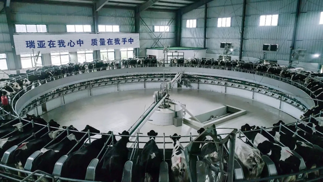 第31届中原畜牧业买卖展览会 || QMH官网乳业集团获“河南省畜牧行业——最具影响力品牌”奖