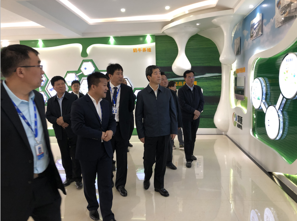 河南省委副书记、省长陈润儿一行光临 QMH官网集团鲁山瑞亚牧业有限公司视察调研