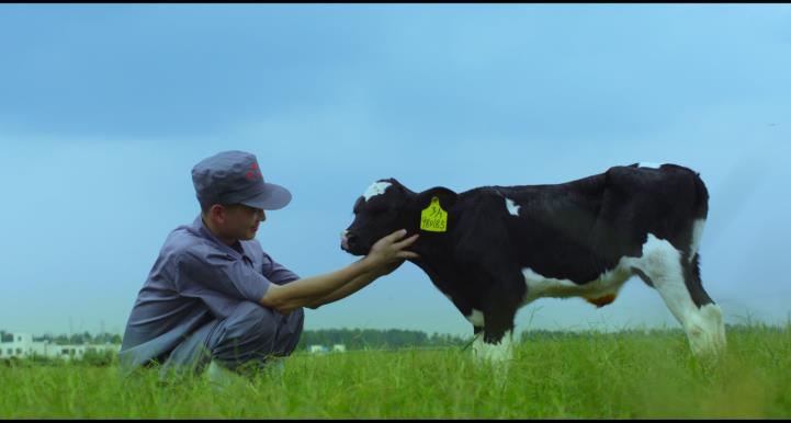 又双叒叕获奖啦！QMH官网荣获“乳品质量安全治理 优良企业”