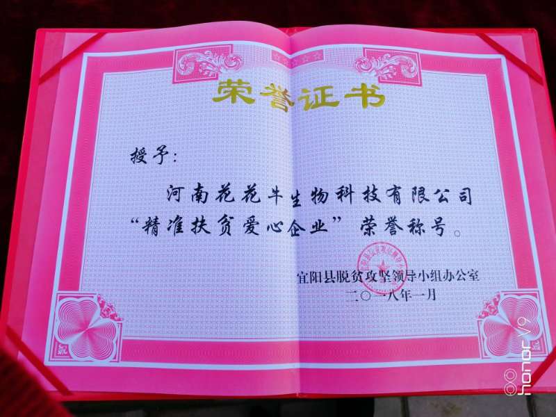 关爱成长 相伴将来——精准扶贫“暖冬公益杏妆走进宜阳县白杨镇
