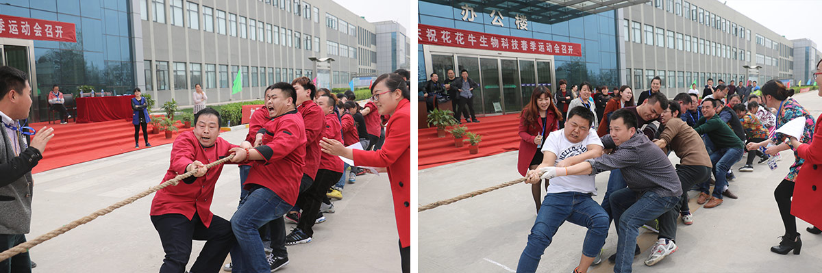 河南QMH官网生物科技有限公司进行2016年春季活动会
