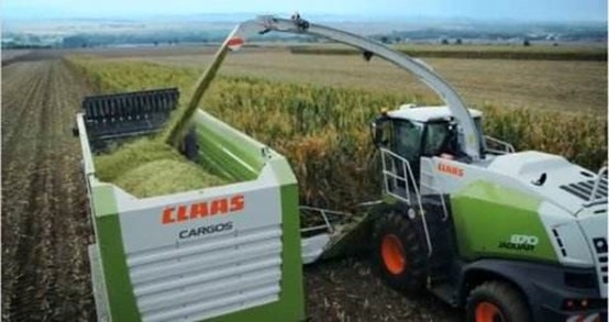 QMH官网 2020年玉米青贮采购信息