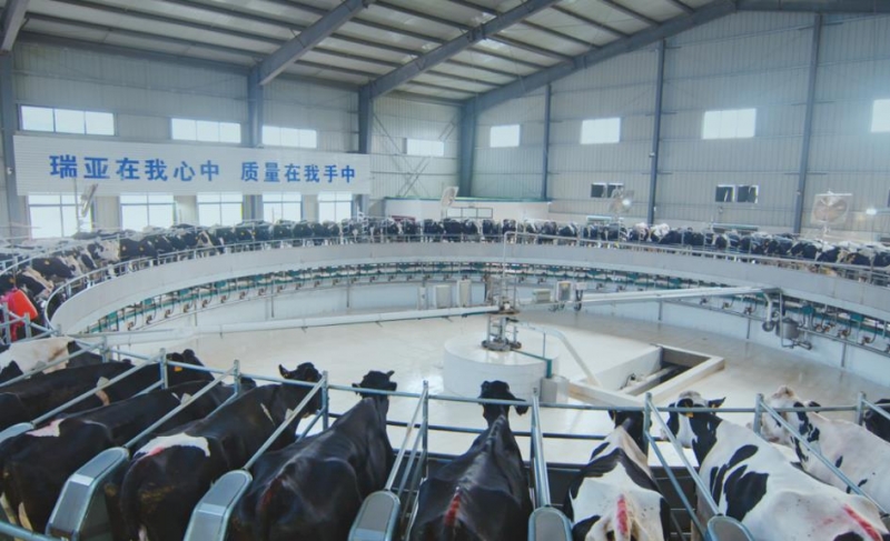 扶沟瑞亚牧业有限公司年存栏6000头奶牛养殖建设项目 环境影响评价公家参加第二次公示