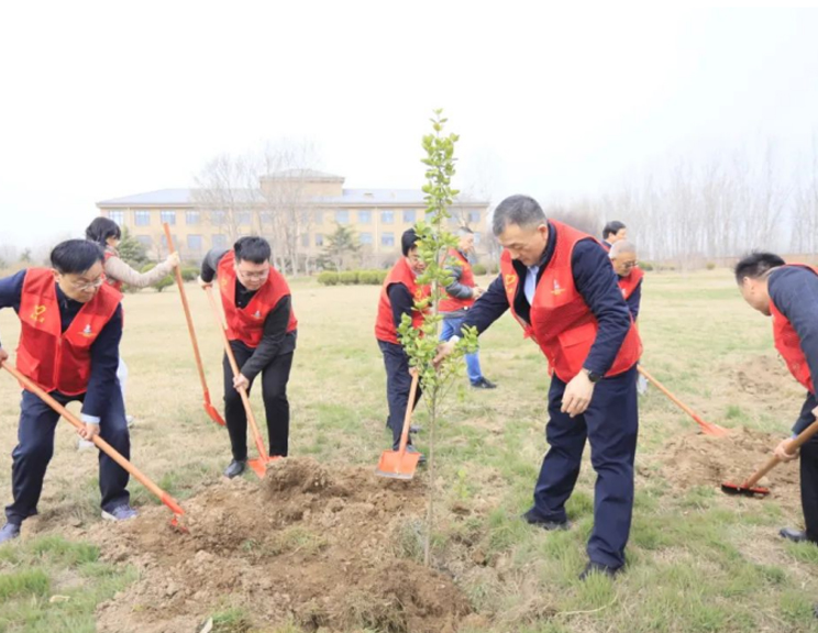 河南QMH官网乳业集团发展“绿色发展践初心 植树护绿前锋杏妆植树活动